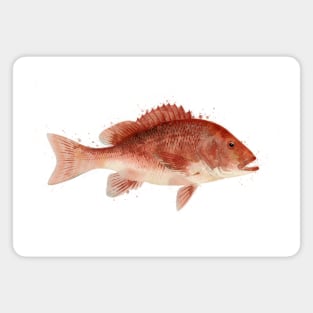 Red Snapper Watercolor Art for the Fishing Lovers and Anglers / Gifts for Fisherman Magnet